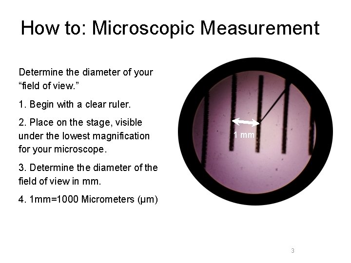 How to: Microscopic Measurement Determine the diameter of your “field of view. ” 1.