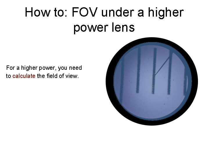 How to: FOV under a higher power lens For a higher power, you need