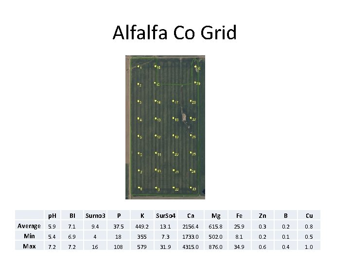 Alfalfa Co Grid Average Min Max p. H BI Surno 3 P K Sur.