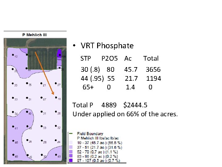  • VRT Phosphate STP P 2 O 5 Ac Total 30 (. 8)