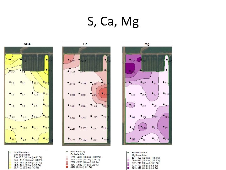 S, Ca, Mg 