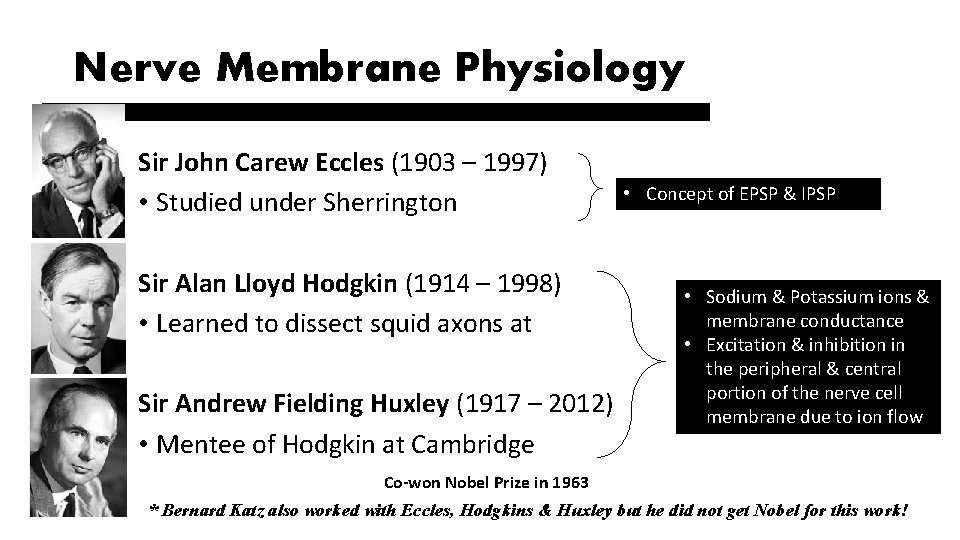 HISTORY OF NEUROLOGY BRITISH NEUROPHYSIOLOGY 100 YEARS OF