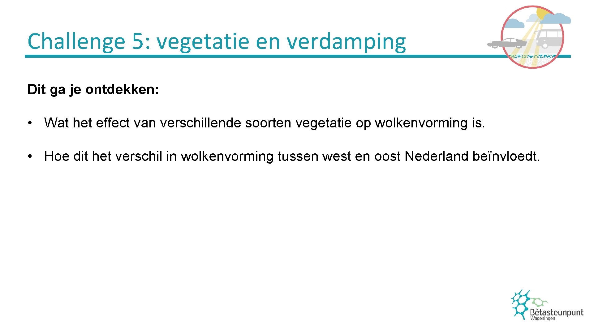Challenge 5: vegetatie en verdamping Dit ga je ontdekken: • Wat het effect van
