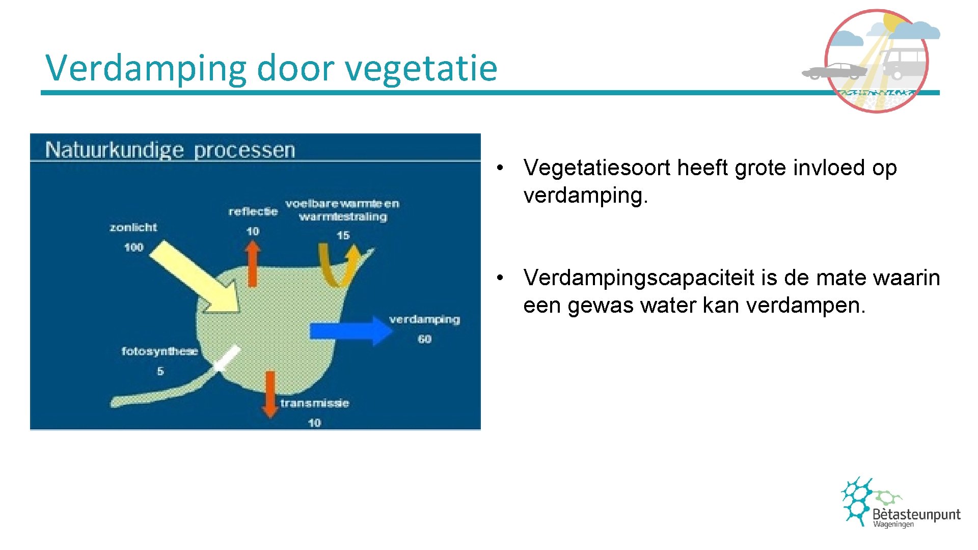 Verdamping door vegetatie • Vegetatiesoort heeft grote invloed op verdamping. • Verdampingscapaciteit is de