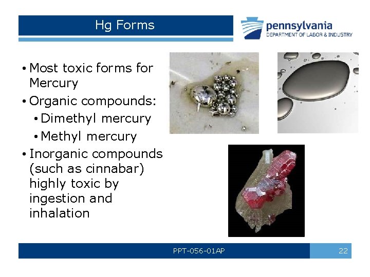 Hg Forms • Most toxic forms for Mercury • Organic compounds: • Dimethyl mercury
