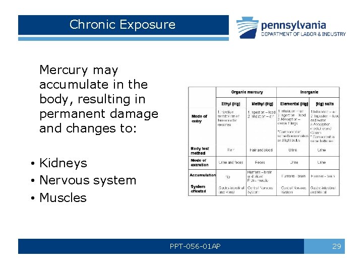 Chronic Exposure Mercury may accumulate in the body, resulting in permanent damage and changes