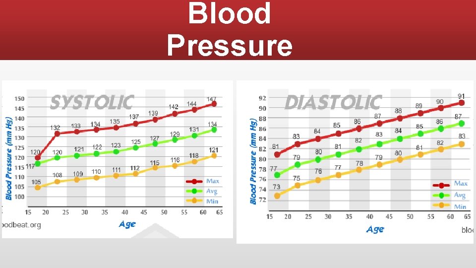 Blood Pressure 