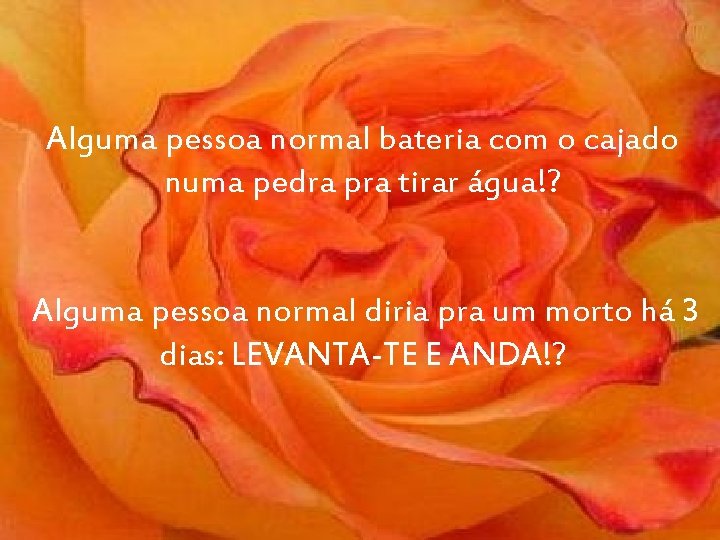 Alguma pessoa normal bateria com o cajado numa pedra pra tirar água!? Alguma pessoa