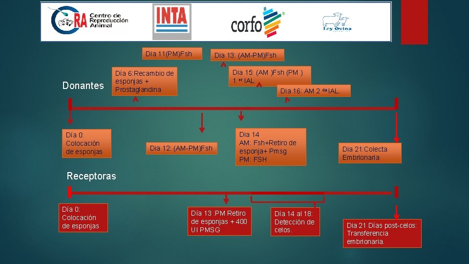Dia 11(PM)Fsh Donantes Dia 15: (AM )Fsh (PM ) 1 er IAL Día 6: