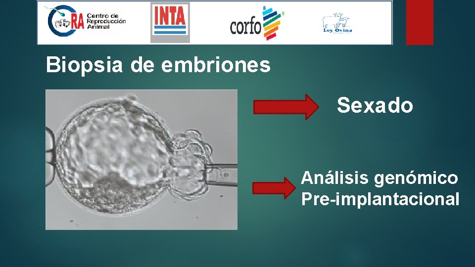 Biopsia de embriones Sexado Análisis genómico Pre-implantacional 