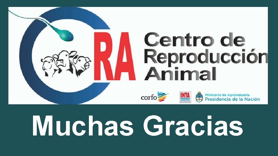 Muchas Gracias 