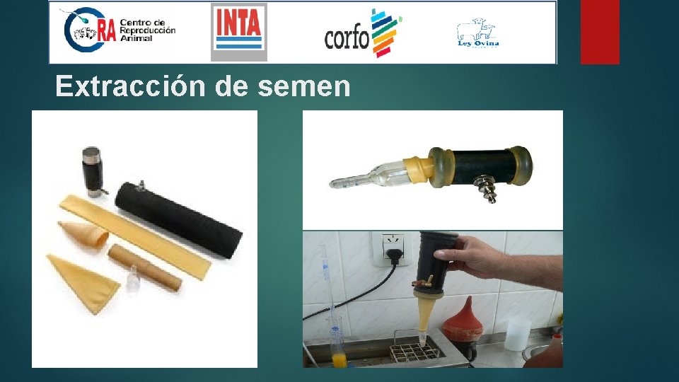 Extracción de semen 