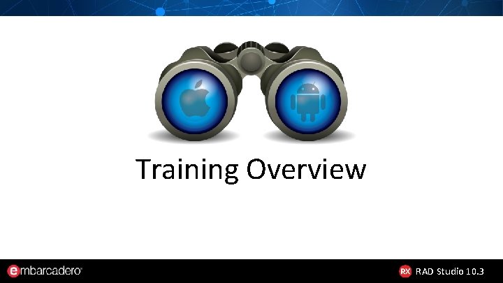 Training Overview RAD Studio 10. 3 