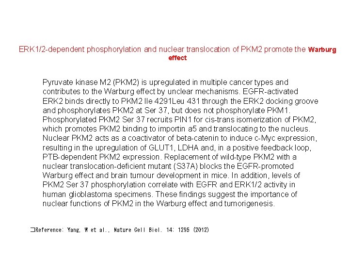 ERK 1/2 -dependent phosphorylation and nuclear translocation of PKM 2 promote the Warburg effect