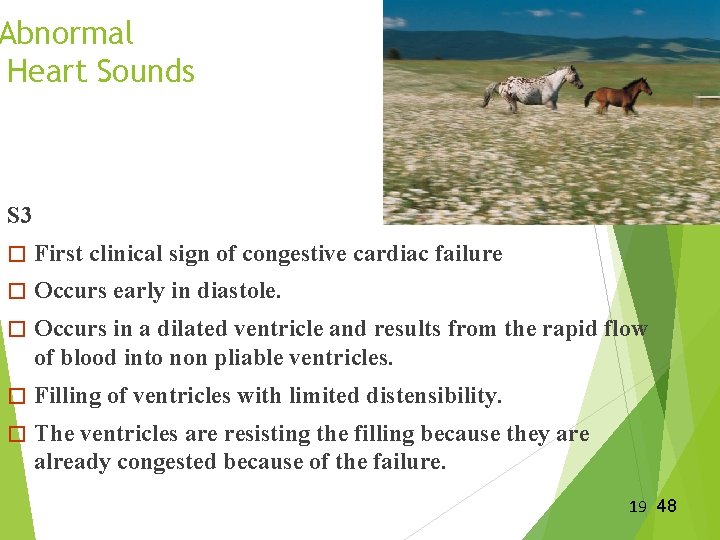 Abnormal Heart Sounds S 3 � First clinical sign of congestive cardiac failure �