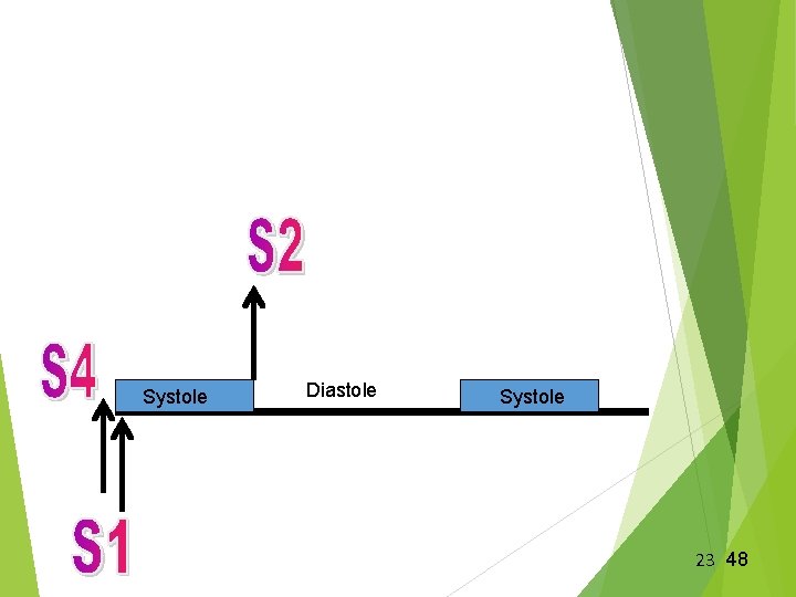 Systole Diastole Systole 23 48 