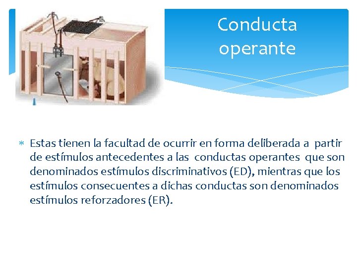 Conducta operante Estas tienen la facultad de ocurrir en forma deliberada a partir de