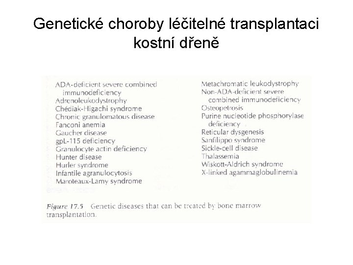 Genetické choroby léčitelné transplantaci kostní dřeně 