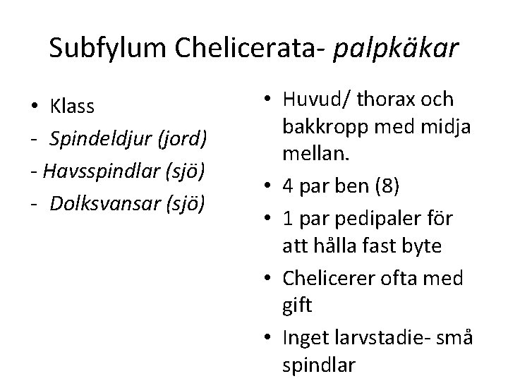 Subfylum Chelicerata palpkäkar • Klass Spindeldjur (jord) - Havsspindlar (sjö) Dolksvansar (sjö) • Huvud/