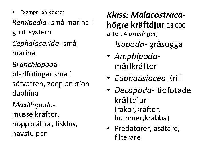  • Exempel på klasser Remipedia små marina i grottsystem Cephalocarida små marina Branchiopoda