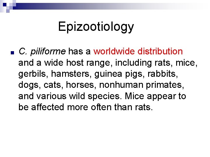 Epizootiology ■ C. piliforme has a worldwide distribution and a wide host range, including