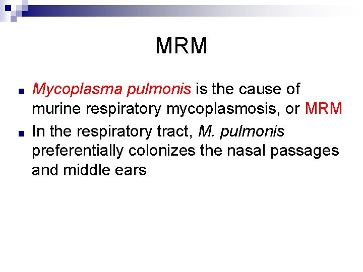 MRM ■ ■ Mycoplasma pulmonis is the cause of murine respiratory mycoplasmosis, or MRM