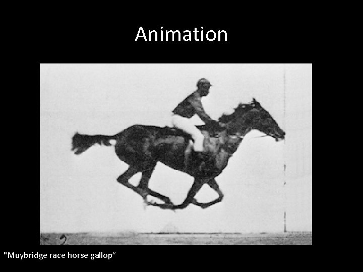 Animation "Muybridge race horse gallop” Animation "Muybridge race horse gallop”