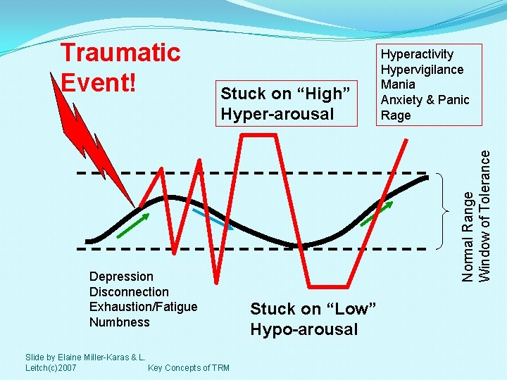 Stuck on “High” Hyper-arousal Depression Disconnection Exhaustion/Fatigue Numbness Slide by Elaine Miller-Karas & L.