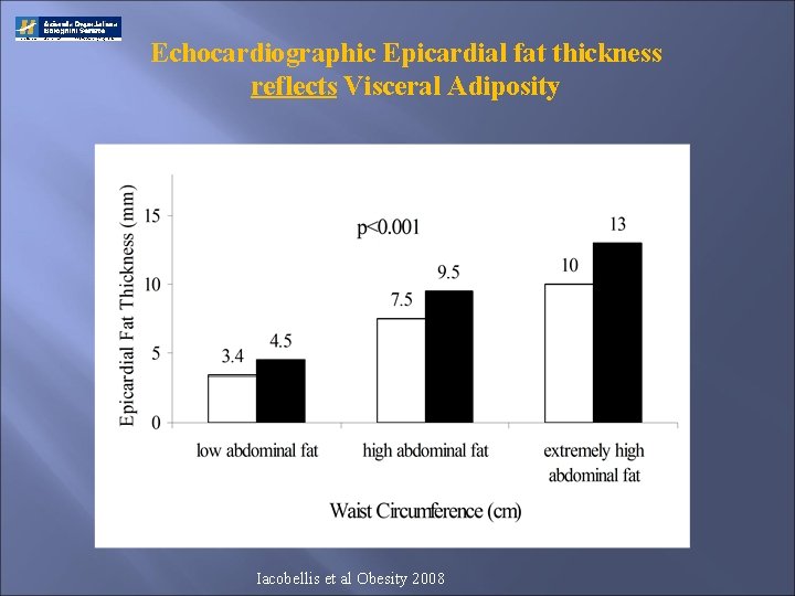 Echocardiographic Epicardial fat thickness reflects Visceral Adiposity Iacobellis et al Obesity 2008 