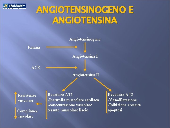 ANGIOTENSINOGENO E ANGIOTENSINA Angiotensinogeno Renina Angiotensina I ACE Angiotensina II Resistenze vascolari Compliance vascolare