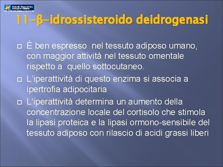 11 -β-idrossisteroido deidrogenasi È ben espresso nel tessuto adiposo umano, con maggior attività nel