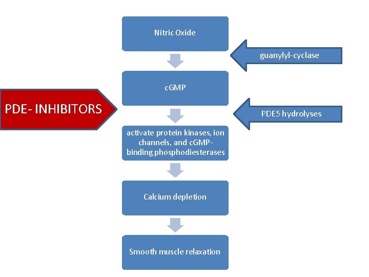 Nitric Oxide guanylyl-cyclase c. GMP PDE- INHIBITORS PDE 5 hydrolyses activate protein kinases, ion