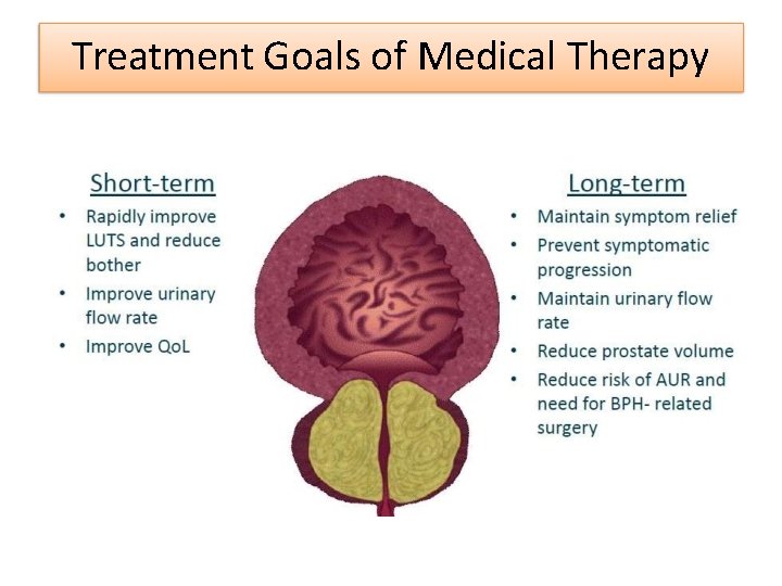 Treatment Goals of Medical Therapy 