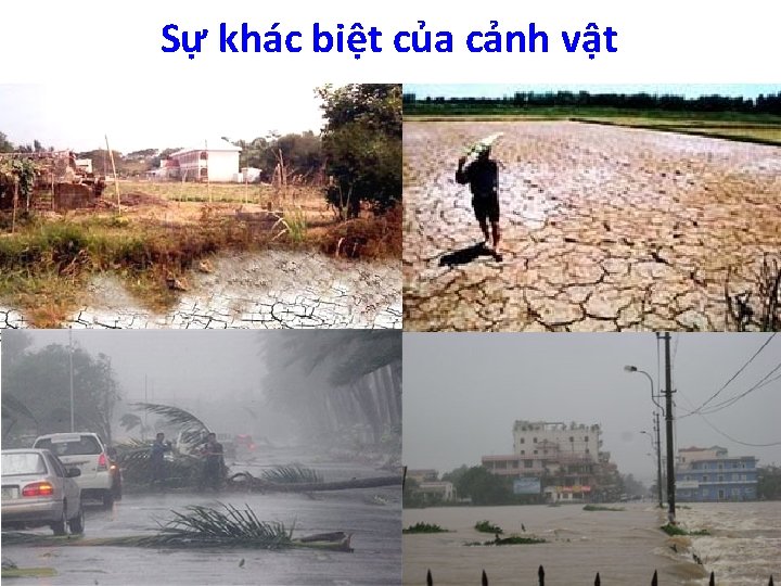 Sự khác biệt của cảnh vật 