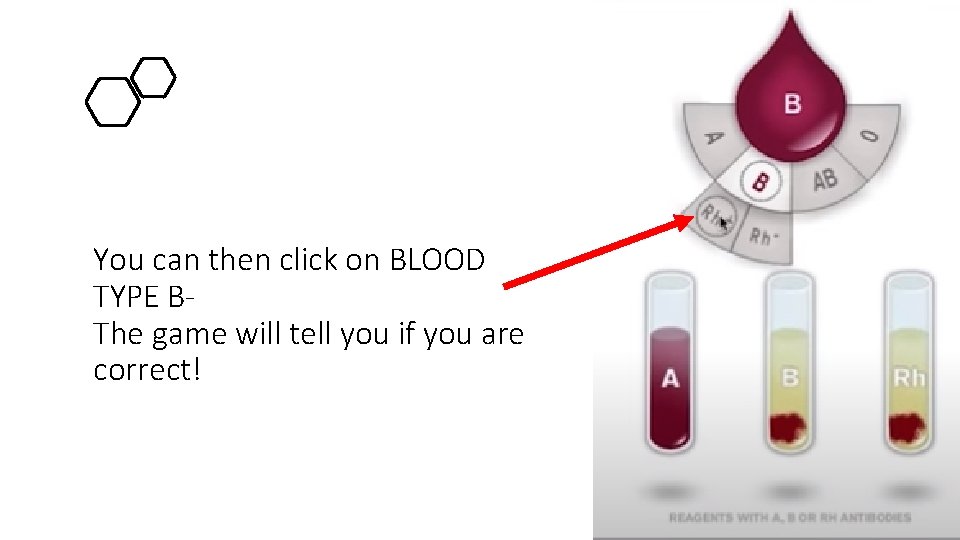 You can then click on BLOOD TYPE BThe game will tell you if you