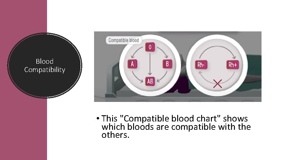 Blood Compatibility • This "Compatible blood chart" shows which bloods are compatible with the
