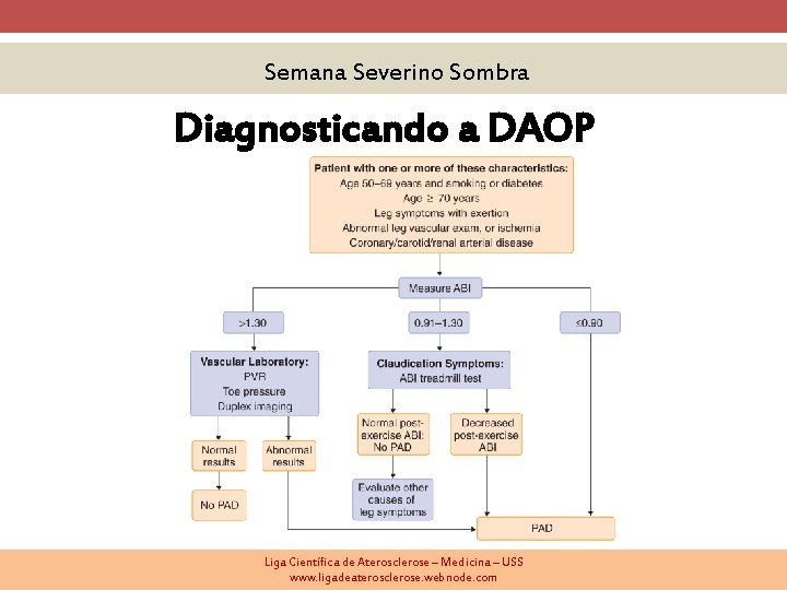 Semana Severino Sombra Diagnosticando a DAOP Liga Científica de Aterosclerose – Medicina – USS