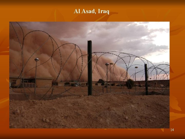 Al Asad, Iraq 14 