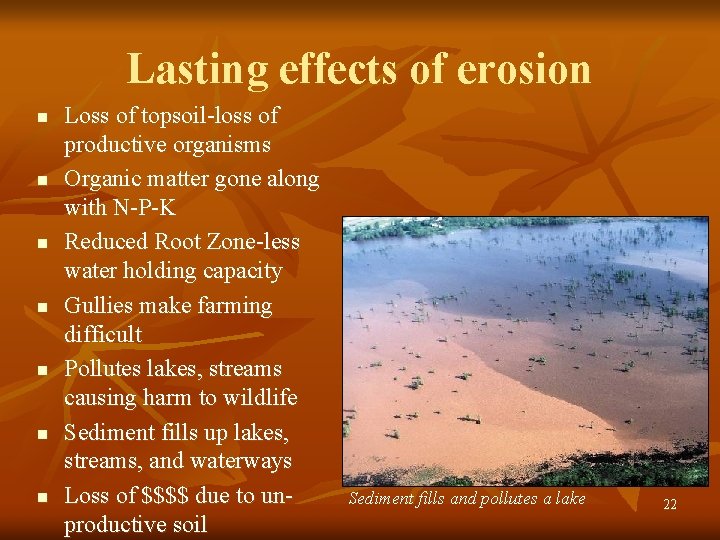 Lasting effects of erosion n n n Loss of topsoil-loss of productive organisms Organic
