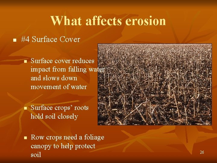 What affects erosion n #4 Surface Cover n n n Surface cover reduces impact