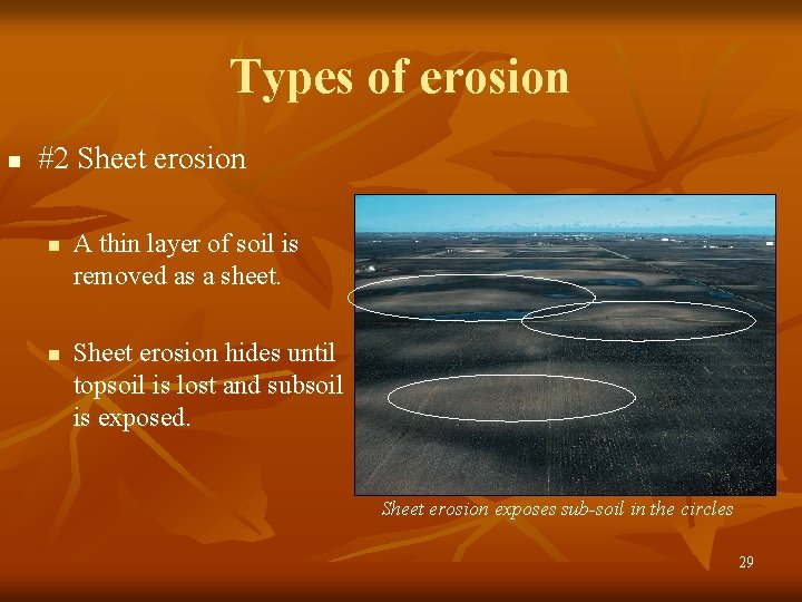 Types of erosion n #2 Sheet erosion n n A thin layer of soil