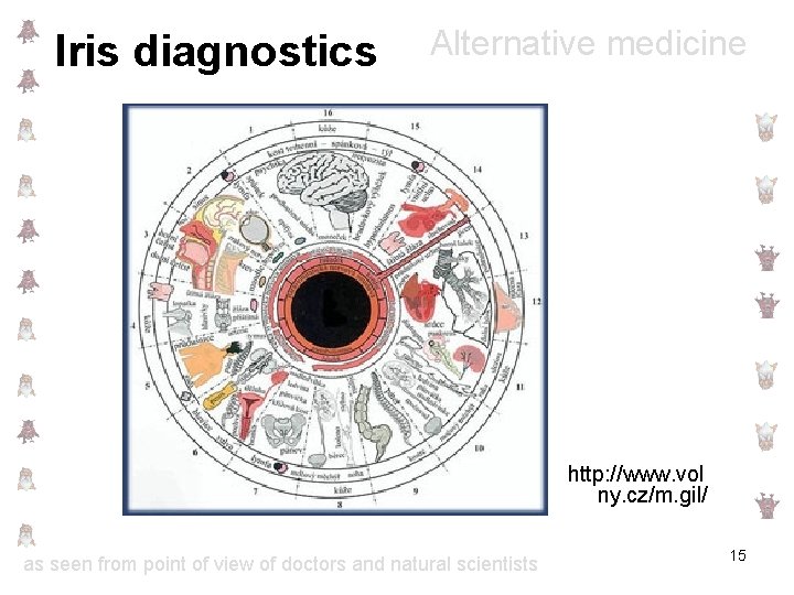 Iris diagnostics Alternative medicine http: //www. vol ny. cz/m. gil/ as seen from point