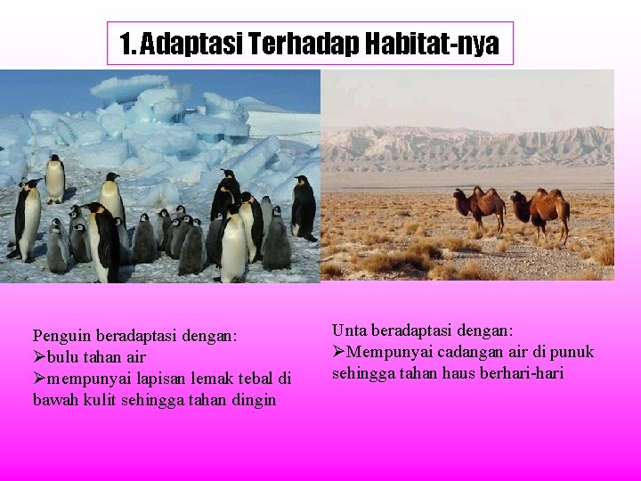 1. Adaptasi Terhadap Habitat-nya Penguin beradaptasi dengan: Øbulu tahan air Ømempunyai lapisan lemak tebal