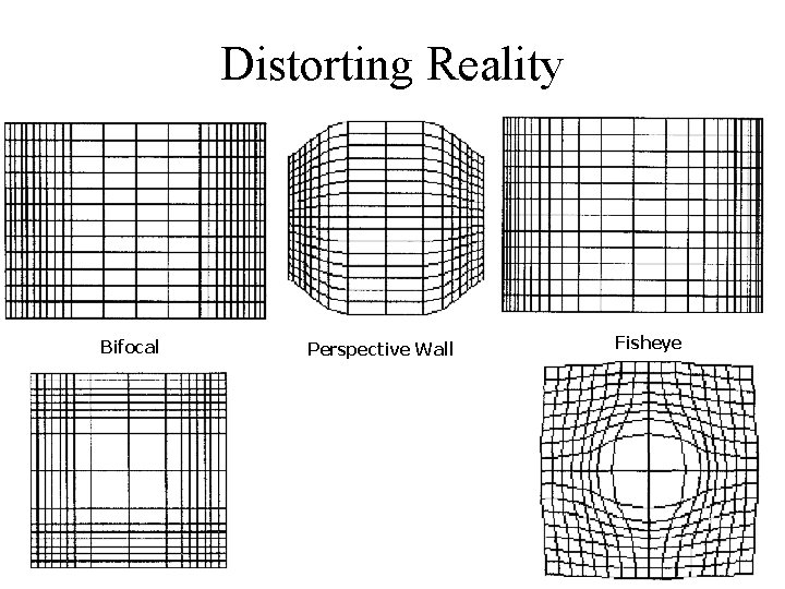 Distorting Reality Bifocal Perspective Wall Fisheye 