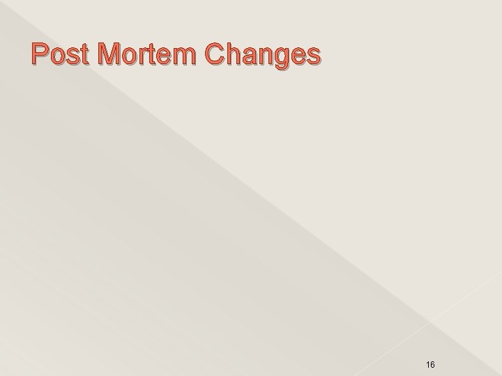Post Mortem Changes 16 