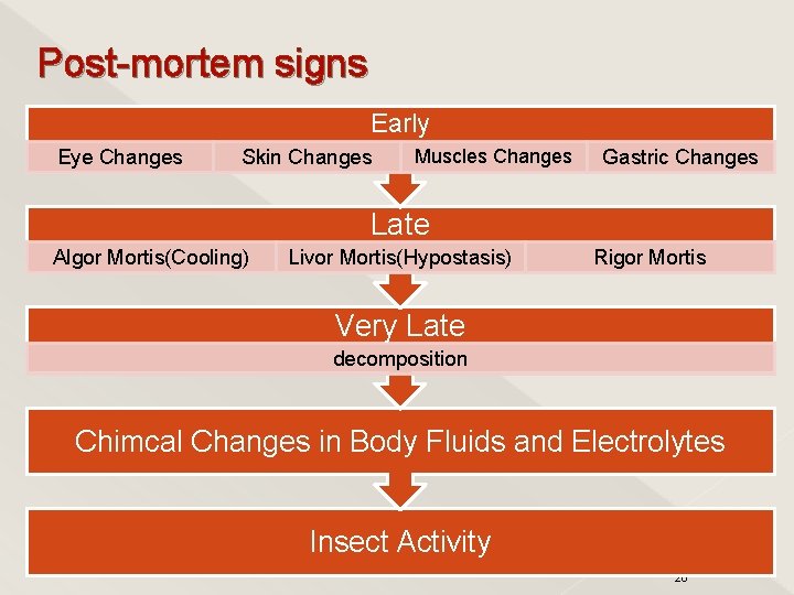 Post-mortem signs Early Eye Changes Skin Changes Muscles Changes Gastric Changes Late Algor Mortis(Cooling)