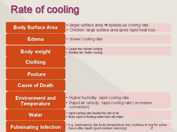 Rate of cooling Body Surface Area • larger surface area speeds up cooling rate.