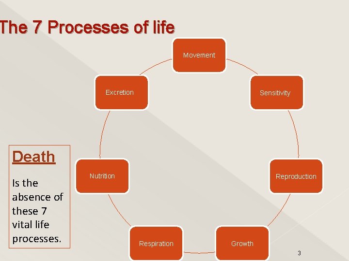 The 7 Processes of life Movement Excretion Sensitivity Death Is the absence of these