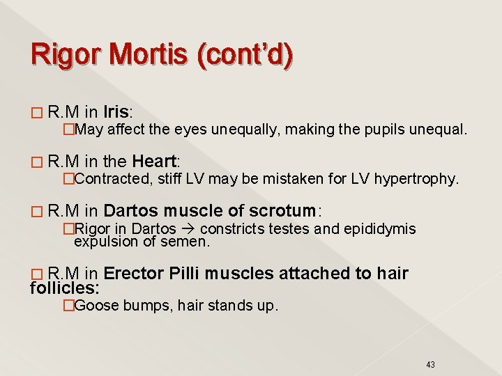 Rigor Mortis (cont’d) � R. M in Iris: � R. M in the Heart: