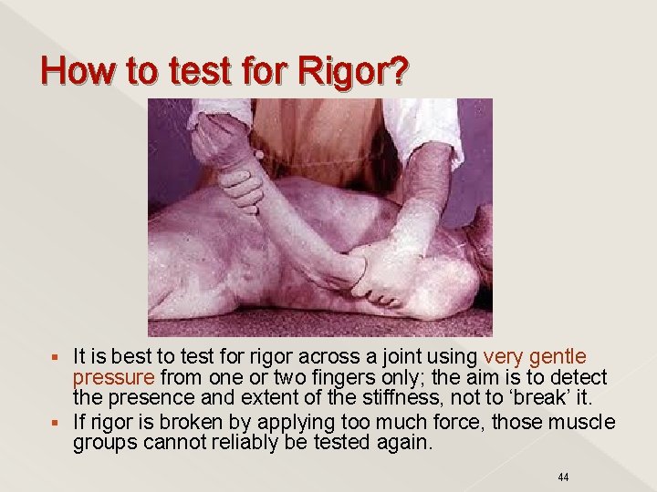 How to test for Rigor? It is best to test for rigor across a